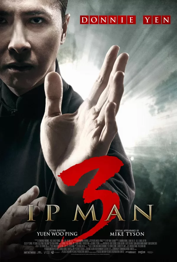 Poster de Ip Man 3