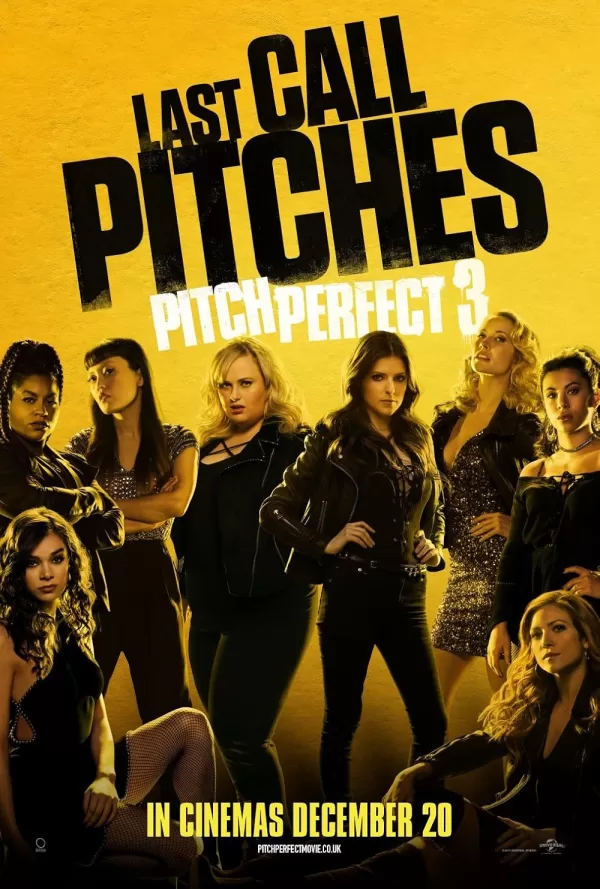 Poster de Notas Perfectas 3
