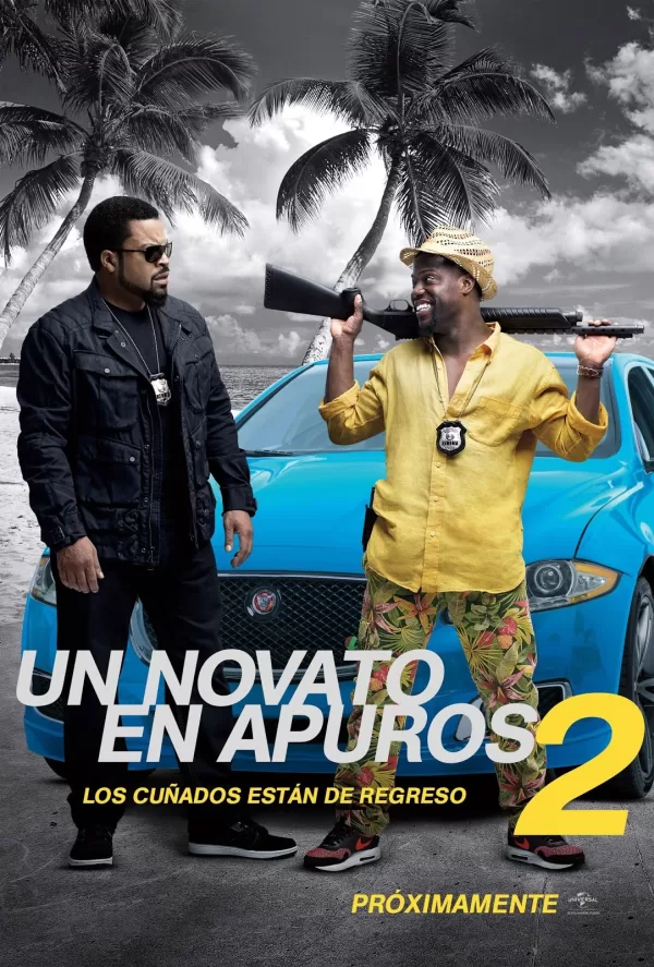 Poster de Un novato en apuros 2