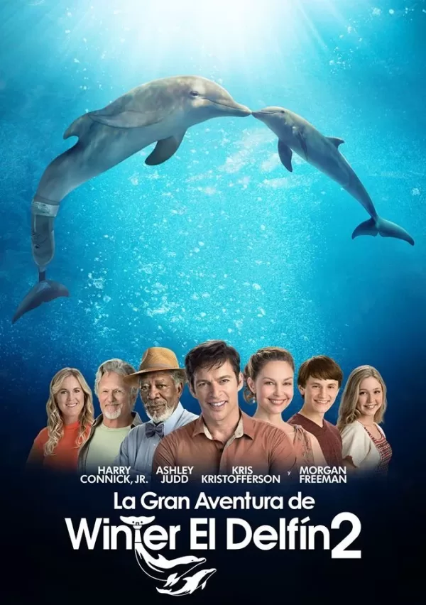 Poster de Winter, el delfín 2